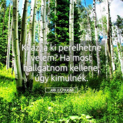 Picture 05 - Jób 13:19 KAR - Ki az, a ki perelhetne velem? Ha most hallgatnom - Bible Verse Picture