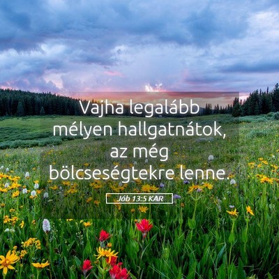 Picture 05 - Jób 13:5 KAR - Vajha legalább mélyen hallgatnátok, az még - Bible Verse Picture