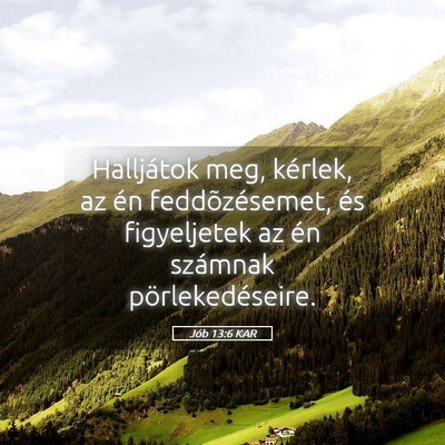 Picture 05 - Jób 13:6 KAR - Halljátok meg, kérlek, az én feddõzésemet, - Bible Verse Picture