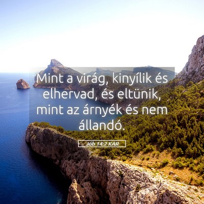 Picture 05 - Jób 14:2 KAR - Mint a virág, kinyílik és elhervad, és - Bible Verse Picture