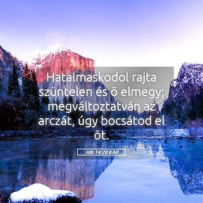 Picture 05 - Jób 14:20 KAR - Hatalmaskodol rajta szüntelen és õ elmegy; - Bible Verse Picture