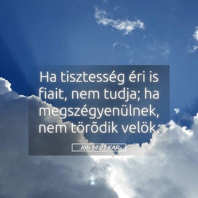 Picture 05 - Jób 14:21 KAR - Ha tisztesség éri is fiait, nem tudja; ha - Bible Verse Picture