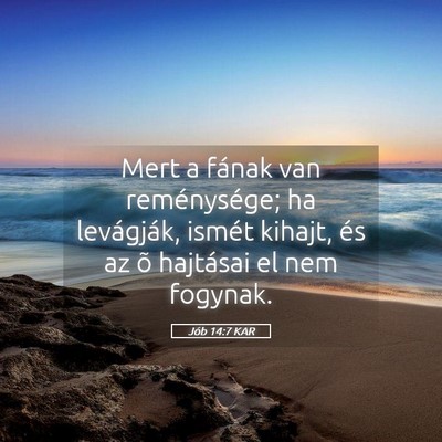 Picture 05 - Jób 14:7 KAR - Mert a fának van reménysége; ha levágják, - Bible Verse Picture