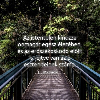 Picture 05 - Jób 15:20 KAR - Az istentelen kínozza önmagát egész - Bible Verse Picture