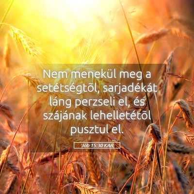 Picture 05 - Jób 15:30 KAR - Nem menekül meg a setétségtõl, sarjadékát - Bible Verse Picture