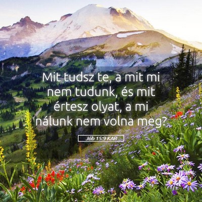 Picture 05 - Jób 15:9 KAR - Mit tudsz te, a mit mi nem tudunk, és mit - Bible Verse Picture