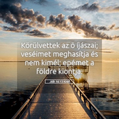 Picture 05 - Jób 16:13 KAR - Körülvettek az õ íjászai; veséimet - Bible Verse Picture