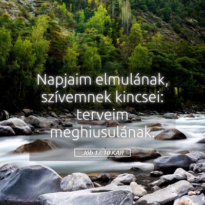 Picture 05 - Jób 17:10 KAR - Napjaim elmulának, szívemnek kincsei: terveim - Bible Verse Picture