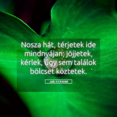Picture 05 - Jób 17:9 KAR - Nosza hát, térjetek ide mindnyájan; jõjjetek, - Bible Verse Picture