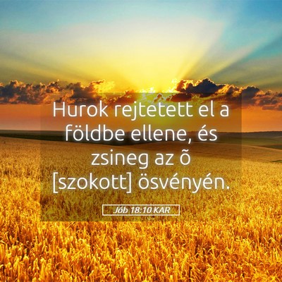 Picture 05 - Jób 18:10 KAR - Hurok rejtetett el a földbe ellene, és zsineg - Bible Verse Picture