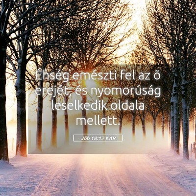 Picture 05 - Jób 18:12 KAR - Éhség emészti fel az õ erejét, és - Bible Verse Picture