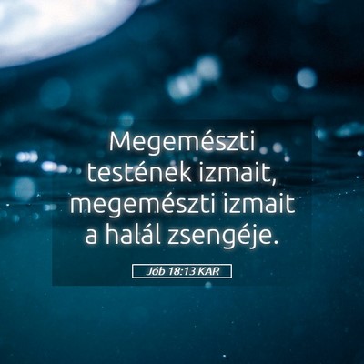 Picture 05 - Jób 18:13 KAR - Megemészti testének izmait, megemészti izmait - Bible Verse Picture