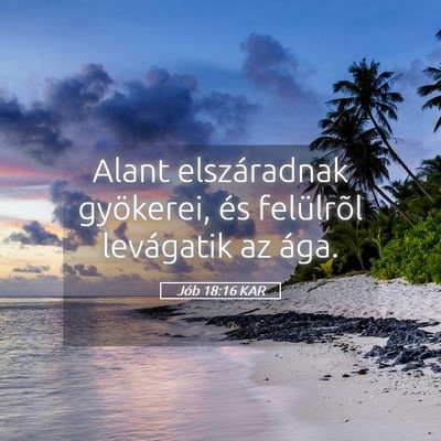 Picture 05 - Jób 18:16 KAR - Alant elszáradnak gyökerei, és felülrõl - Bible Verse Picture