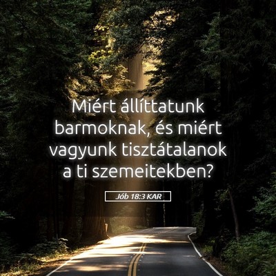 Picture 05 - Jób 18:3 KAR - Miért állíttatunk barmoknak, és miért - Bible Verse Picture