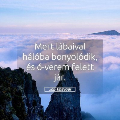 Picture 05 - Jób 18:8 KAR - Mert lábaival hálóba bonyolódik, és ó-verem - Bible Verse Picture