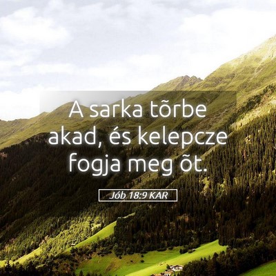 Picture 05 - Jób 18:9 KAR - A sarka tõrbe akad, és kelepcze fogja meg - Bible Verse Picture