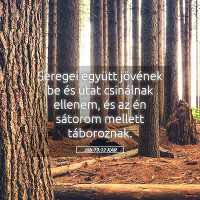 Picture 05 - Jób 19:12 KAR - Seregei együtt jövének be és utat csinálnak - Bible Verse Picture