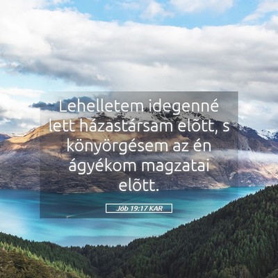 Picture 05 - Jób 19:17 KAR - Lehelletem idegenné lett házastársam elõtt, s - Bible Verse Picture