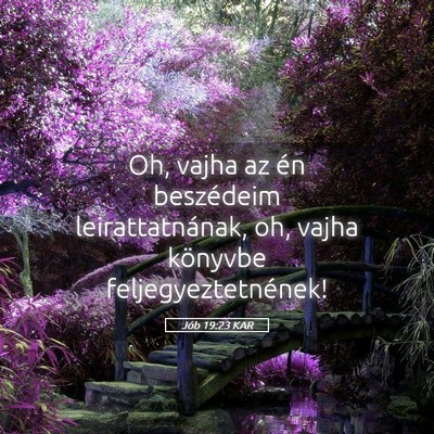 Picture 05 - Jób 19:23 KAR - Oh, vajha az én beszédeim leirattatnának, oh, - Bible Verse Picture