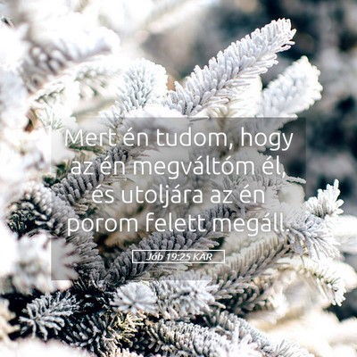 Picture 05 - Jób 19:25 KAR - Mert én tudom, hogy az én megváltóm él, és - Bible Verse Picture