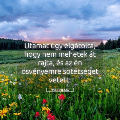 Picture 05 - Jób 19:8 KAR - Utamat úgy elgátolta, hogy nem mehetek át - Bible Verse Picture