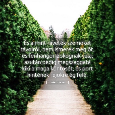 Picture 05 - Jób 2:12 KAR - És a mint ráveték szemöket távolról, nem - Bible Verse Picture