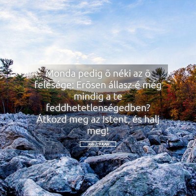 Picture 05 - Jób 2:9 KAR - Monda pedig õ néki az õ felesége: Erõsen - Bible Verse Picture