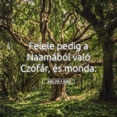 Picture 05 - Jób 20:1 KAR - Felele pedig a Naamából való Czófár, és - Bible Verse Picture