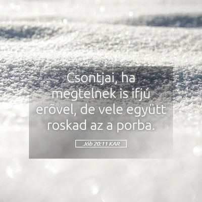 Picture 05 - Jób 20:11 KAR - Csontjai, ha megtelnek is ifjú erõvel, de vele - Bible Verse Picture