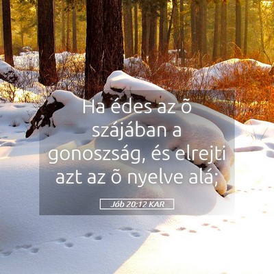 Picture 05 - Jób 20:12 KAR - Ha édes az õ szájában a gonoszság, és - Bible Verse Picture