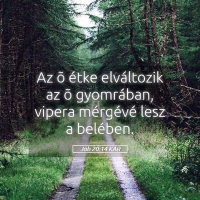 Picture 05 - Jób 20:14 KAR - Az õ étke elváltozik az õ gyomrában, vipera - Bible Verse Picture