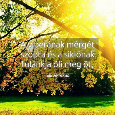 Picture 05 - Jób 20:16 KAR - A viperának mérgét szopta és a siklónak - Bible Verse Picture