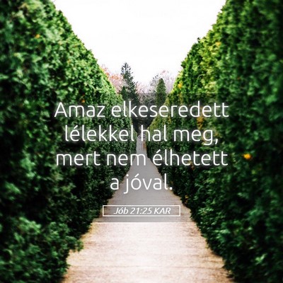 Picture 05 - Jób 21:25 KAR - Amaz elkeseredett lélekkel hal meg, mert nem - Bible Verse Picture