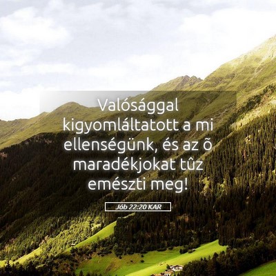 Picture 05 - Jób 22:20 KAR - Valósággal kigyomláltatott a mi ellenségünk, - Bible Verse Picture