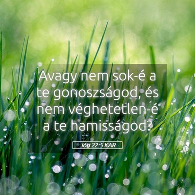 Picture 05 - Jób 22:5 KAR - Avagy nem sok-é a te gonoszságod, és nem - Bible Verse Picture