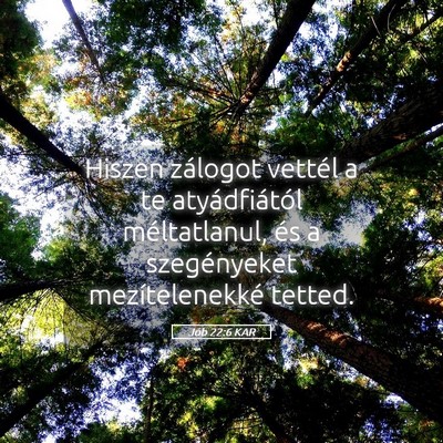 Picture 05 - Jób 22:6 KAR - Hiszen zálogot vettél a te atyádfiától - Bible Verse Picture