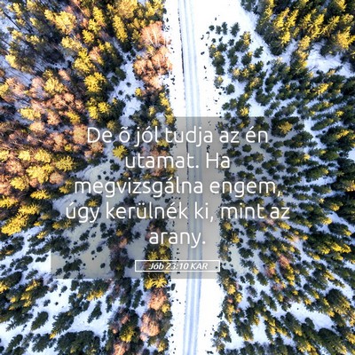 Picture 05 - Jób 23:10 KAR - De õ jól tudja az én utamat. Ha megvizsgálna - Bible Verse Picture