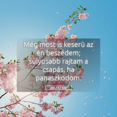 Picture 05 - Jób 23:2 KAR - Még most is keserû az én beszédem; súlyosabb - Bible Verse Picture