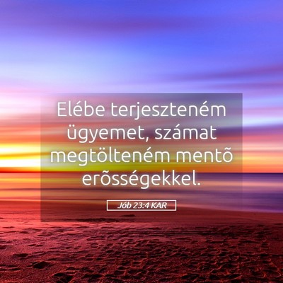 Picture 05 - Jób 23:4 KAR - Elébe terjeszteném ügyemet, számat - Bible Verse Picture