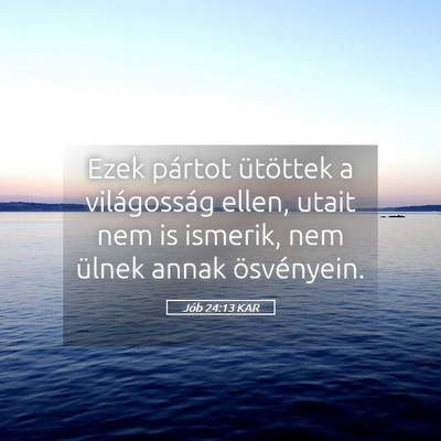 Picture 05 - Jób 24:13 KAR - Ezek pártot ütöttek a világosság ellen, - Bible Verse Picture