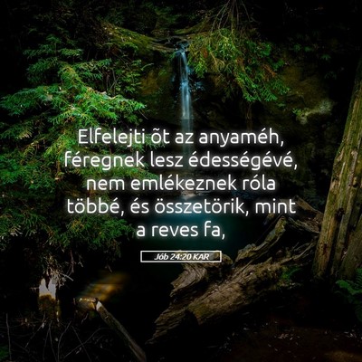 Picture 05 - Jób 24:20 KAR - Elfelejti õt az anyaméh, féregnek lesz - Bible Verse Picture