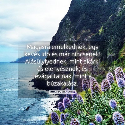 Picture 05 - Jób 24:24 KAR - Magasra emelkednek, egy kevés idõ és már - Bible Verse Picture