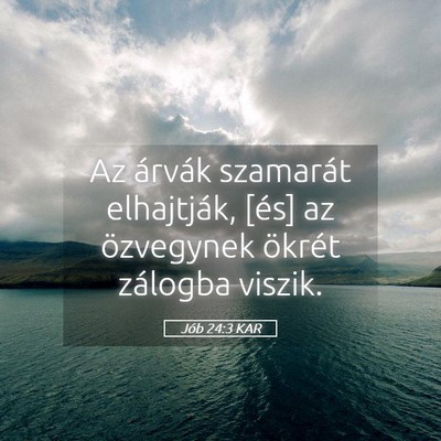Picture 05 - Jób 24:3 KAR - Az árvák szamarát elhajtják, [és] az - Bible Verse Picture