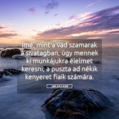 Picture 05 - Jób 24:5 KAR - Ímé, mint a vad szamarak a sivatagban, úgy - Bible Verse Picture