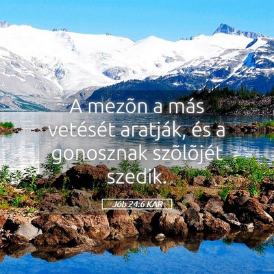 Picture 05 - Jób 24:6 KAR - A mezõn a más vetését aratják, és a - Bible Verse Picture