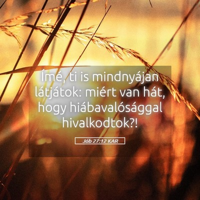 Picture 05 - Jób 27:12 KAR - Ímé, ti is mindnyájan látjátok: miért van - Bible Verse Picture
