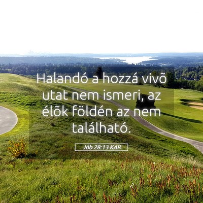 Picture 05 - Jób 28:13 KAR - Halandó a hozzá vivõ utat nem ismeri, az - Bible Verse Picture