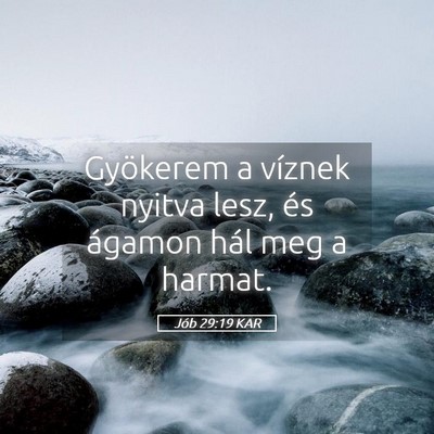 Picture 05 - Jób 29:19 KAR - Gyökerem a víznek nyitva lesz, és ágamon hál - Bible Verse Picture