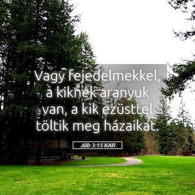 Picture 05 - Jób 3:15 KAR - Vagy fejedelmekkel, a kiknek aranyuk van, a kik - Bible Verse Picture