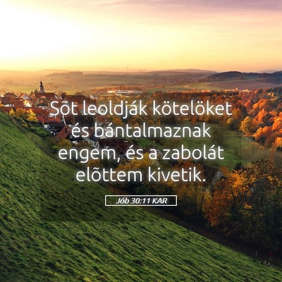 Picture 05 - Jób 30:11 KAR - Sõt leoldják kötelöket és bántalmaznak - Bible Verse Picture